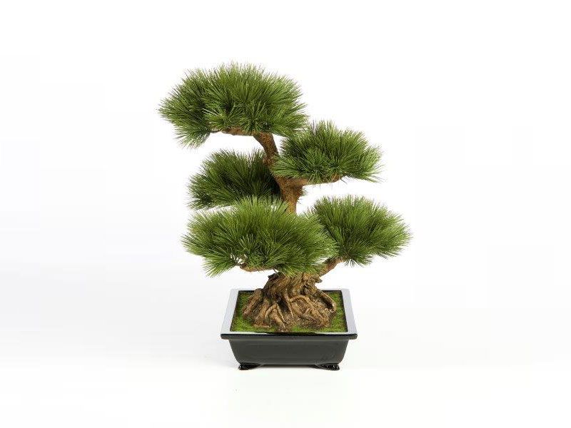 Kunstpflanze Pinus Bonzai Tree
