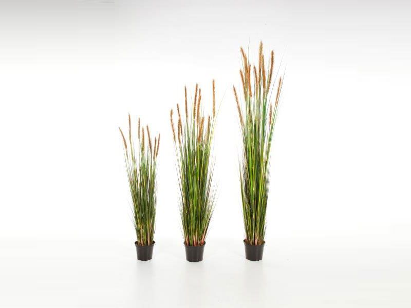 Kunstpflanze Foxtail Grass, braun
